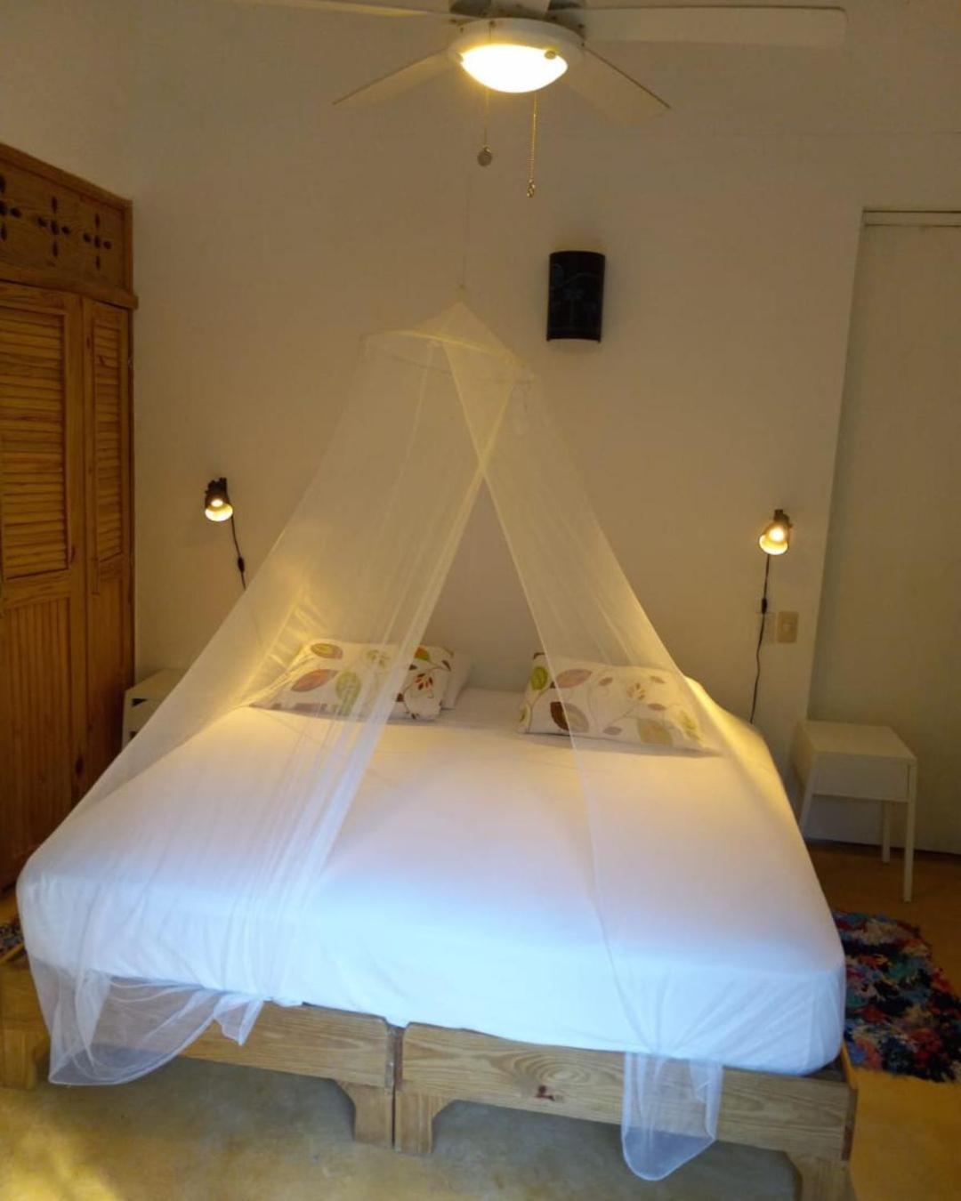 Clave Verde Ecolodge ラス・テレナス エクステリア 写真