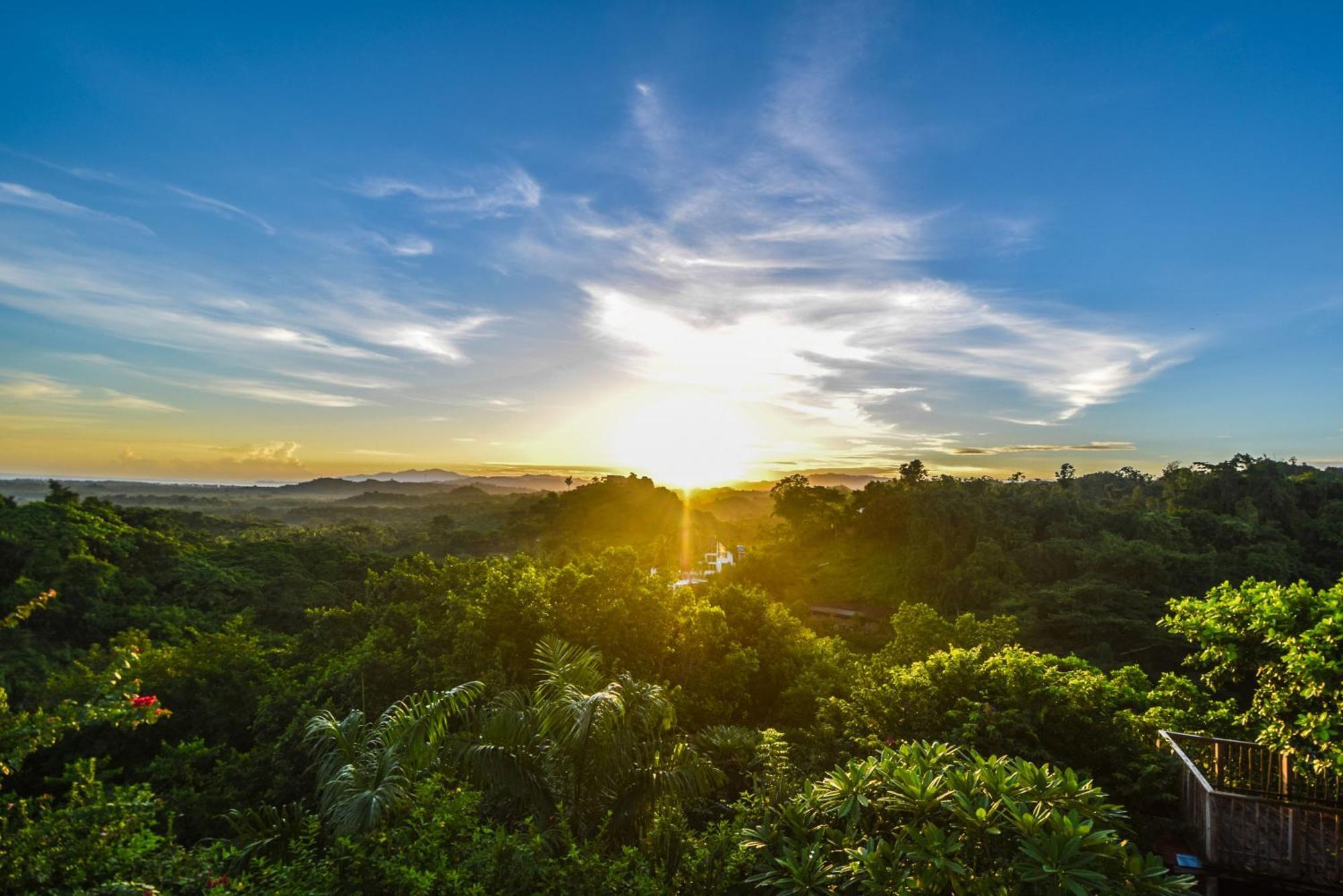 Clave Verde Ecolodge ラス・テレナス エクステリア 写真