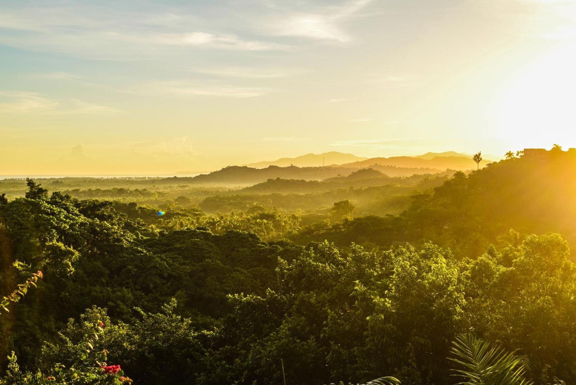 Clave Verde Ecolodge ラス・テレナス エクステリア 写真