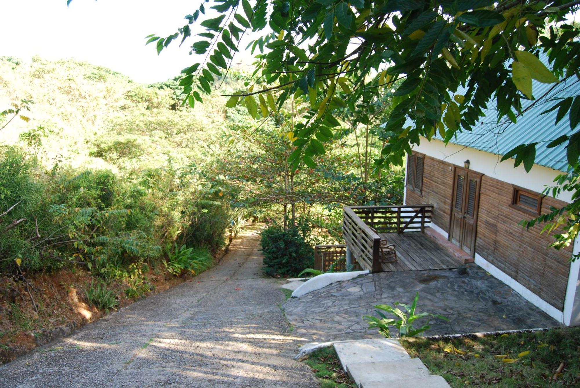Clave Verde Ecolodge ラス・テレナス 部屋 写真