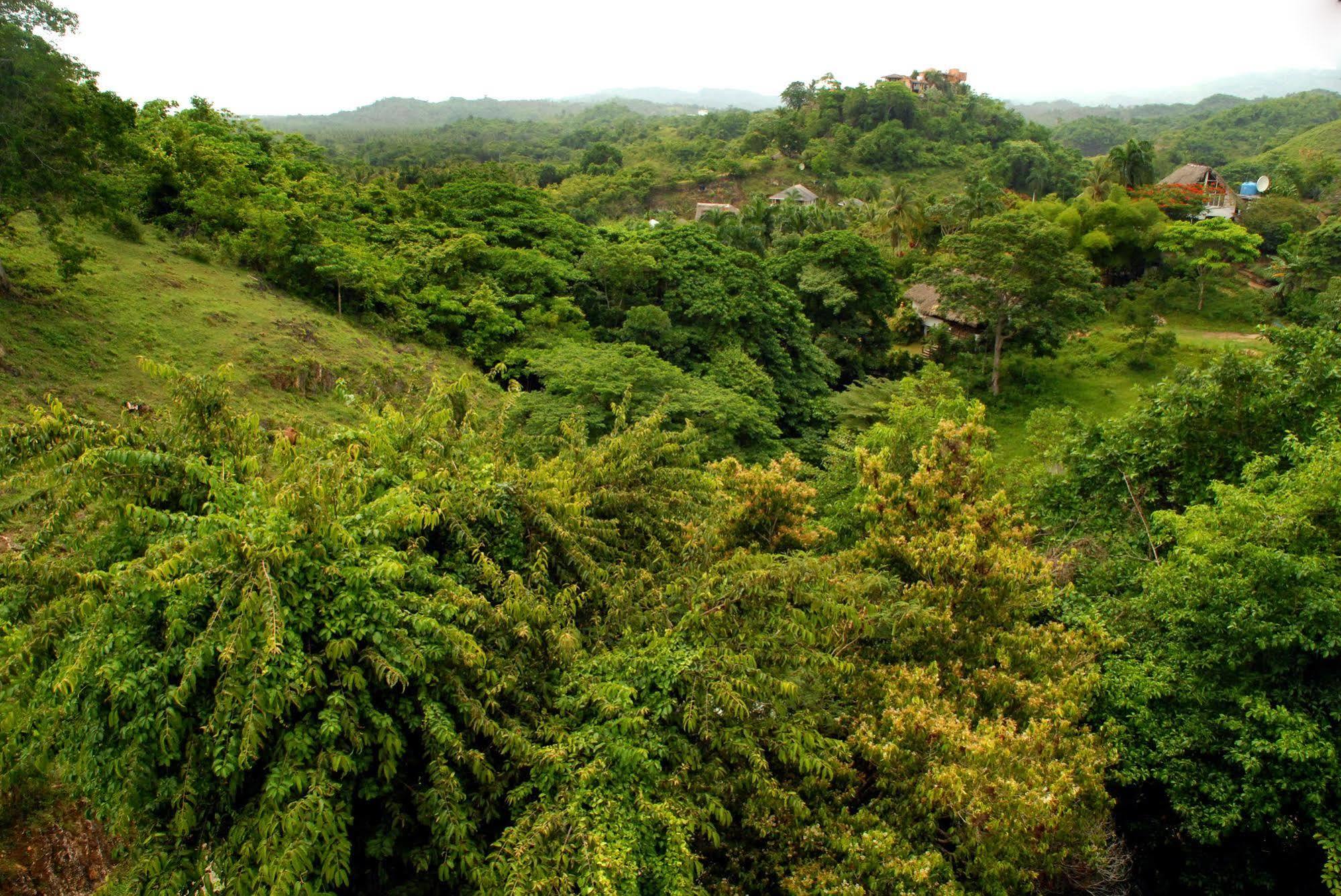 Clave Verde Ecolodge ラス・テレナス エクステリア 写真