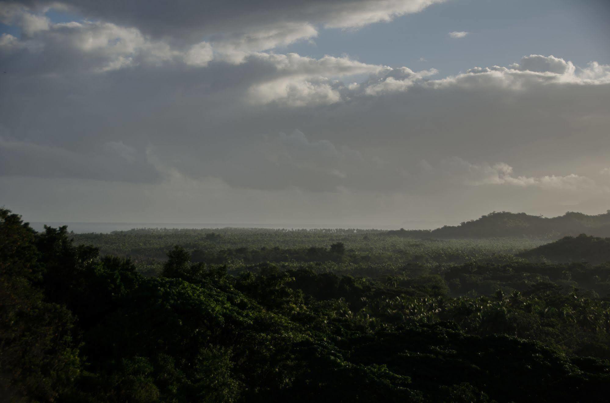 Clave Verde Ecolodge ラス・テレナス エクステリア 写真