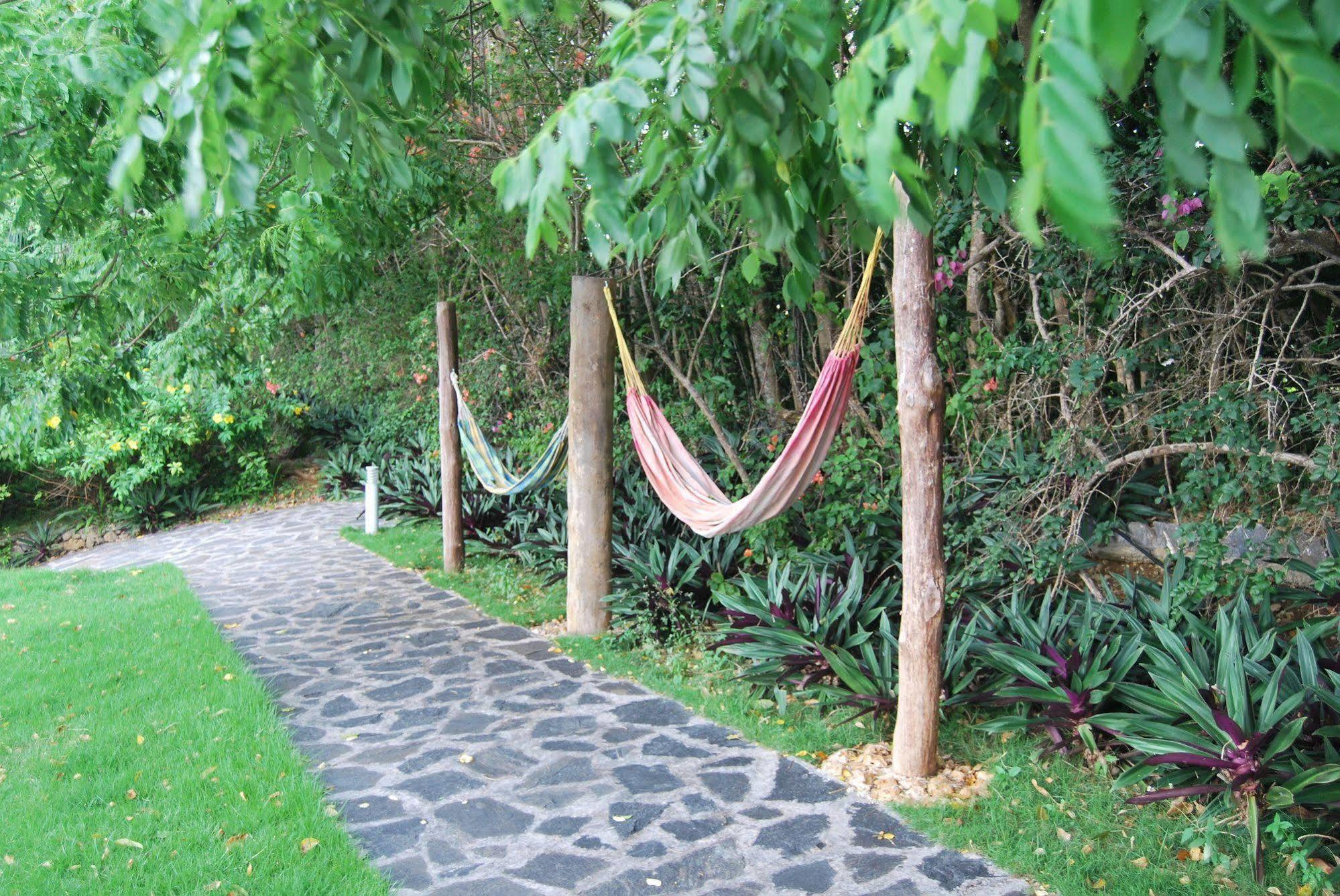 Clave Verde Ecolodge ラス・テレナス エクステリア 写真