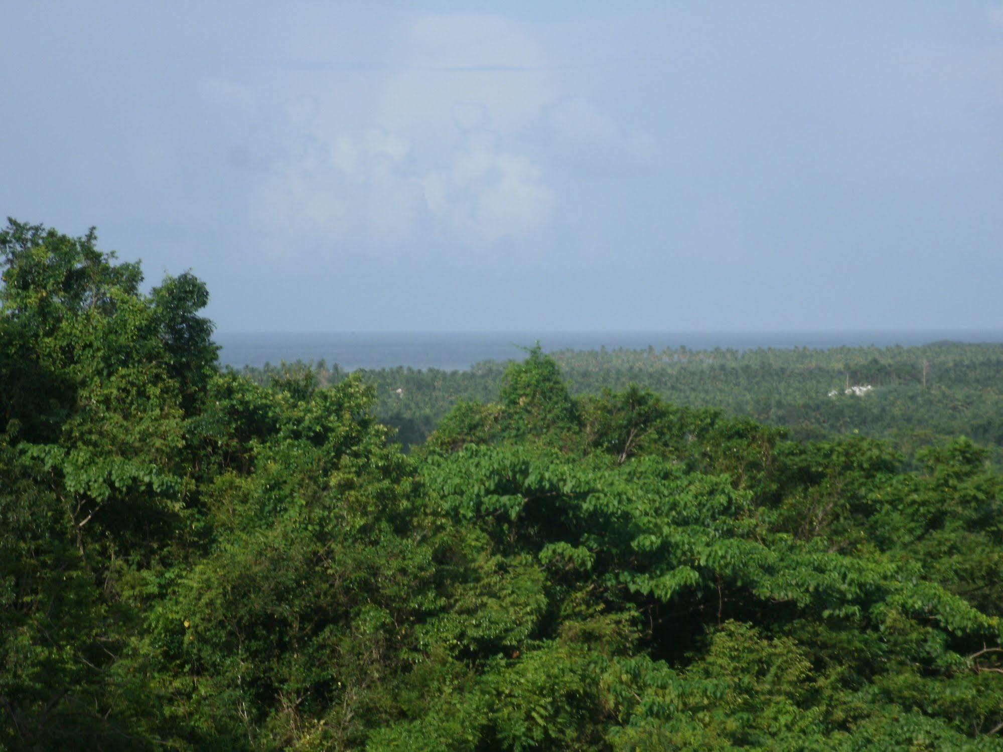 Clave Verde Ecolodge ラス・テレナス エクステリア 写真